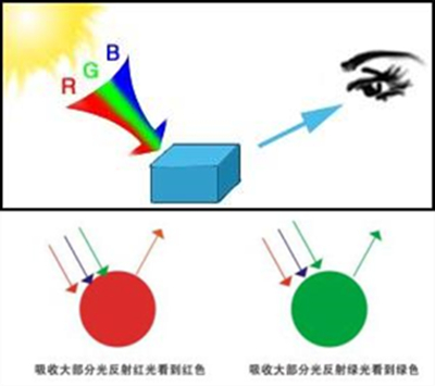 物體的顏色產生原理